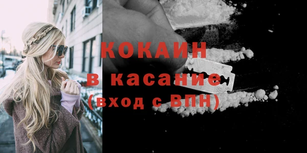 индика Конаково